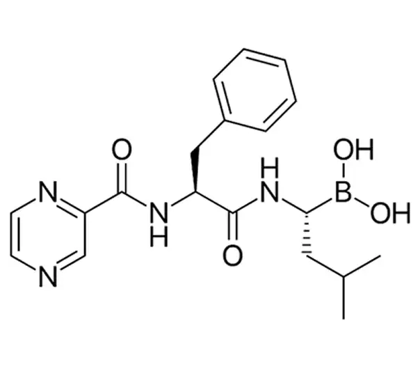 Bortezomib