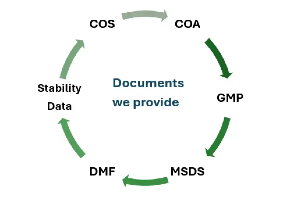 Documents We Provide