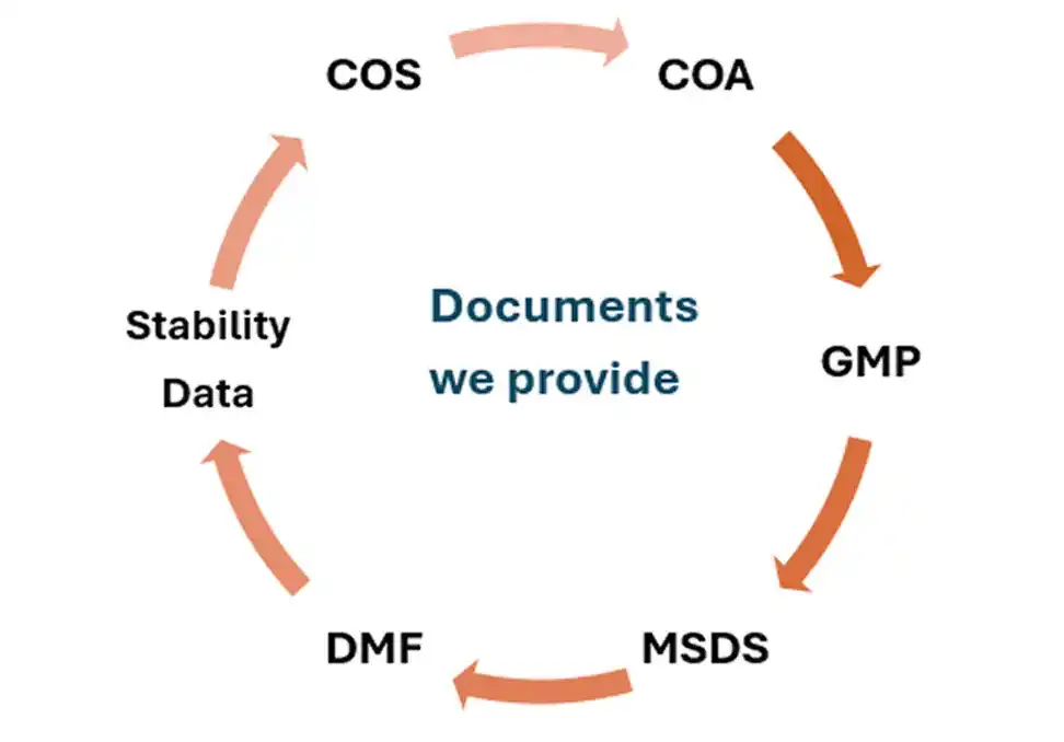 Documents We Provide