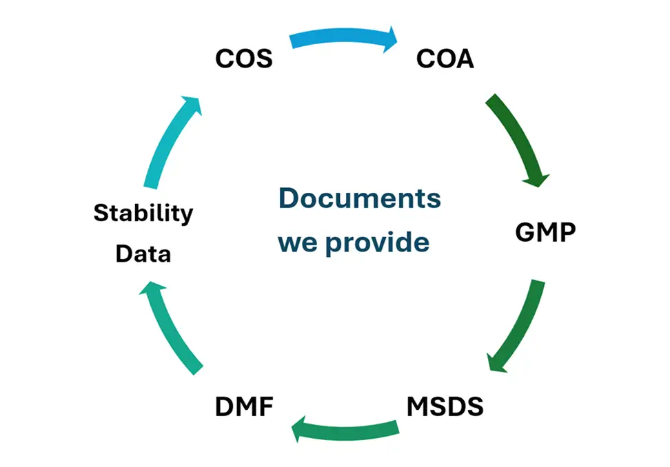 Documents We Provide