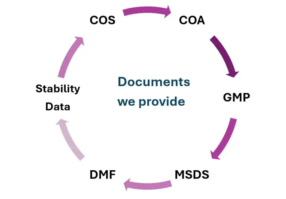 Documents We Provide